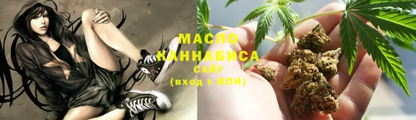 индика Армянск