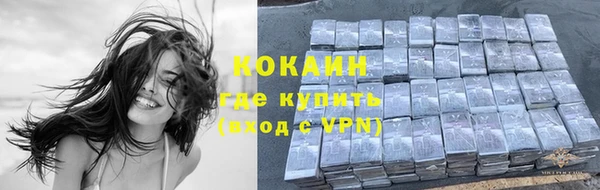 индика Армянск