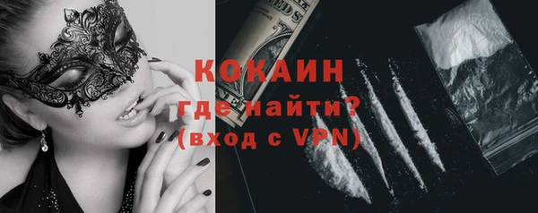 индика Армянск