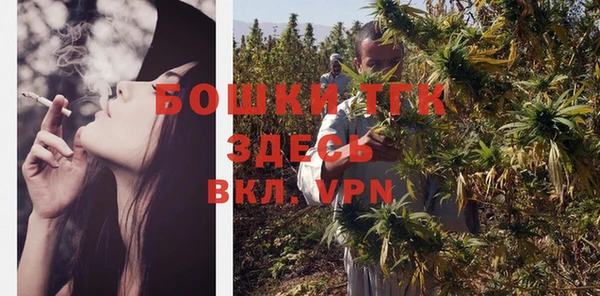 индика Армянск