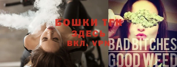 индика Армянск