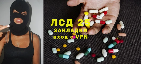 индика Армянск