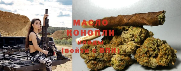 индика Армянск