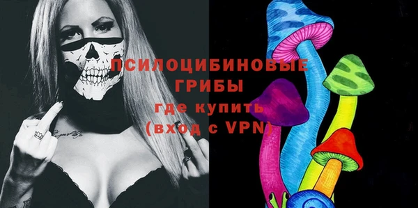 индика Армянск
