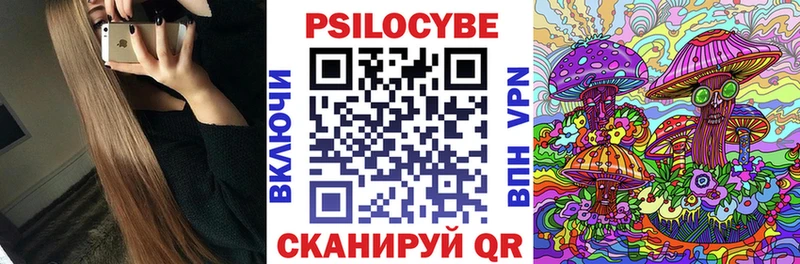 купить  цена  Свободный  hydra ссылка  Галлюциногенные грибы Psilocybe 